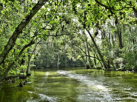 Free Florida Mount Dora photo and picture