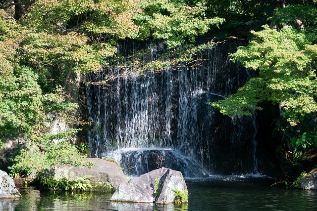 Free Water Waterfall photo and picture