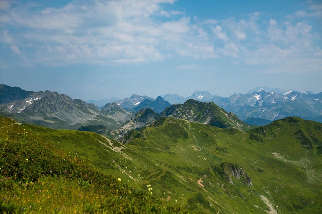 Berge, Blumen, Wiese, Landschaft, See
