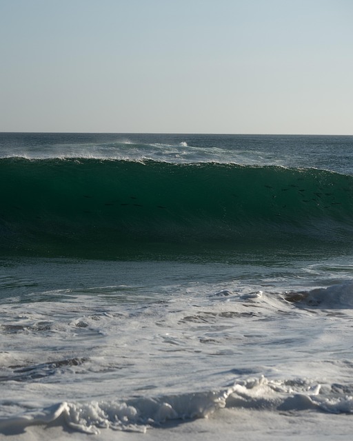 Peixe, Ondas, Oceano, Mar, Natureza