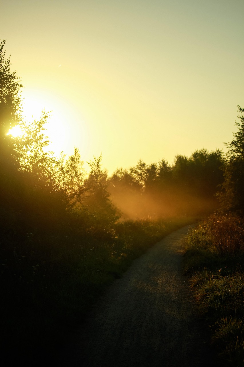 Thumbnail for Nature Horizon Royalty-Free Images