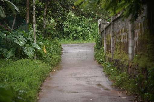 Weg, Straße, Natur, Grün, Stadt, Dorf