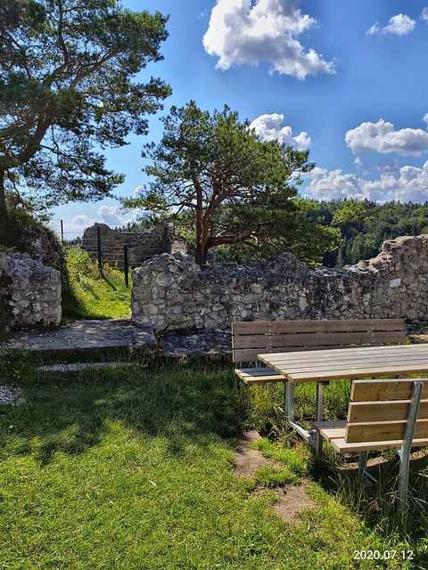 Floresta, Natureza, Ruína, Árvore