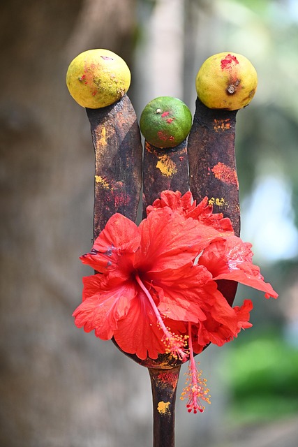 Free Devi Devine photo and picture