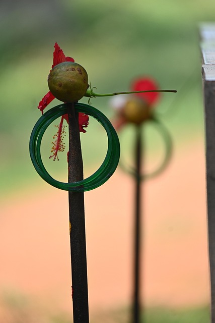 Free Hindu Indian photo and picture