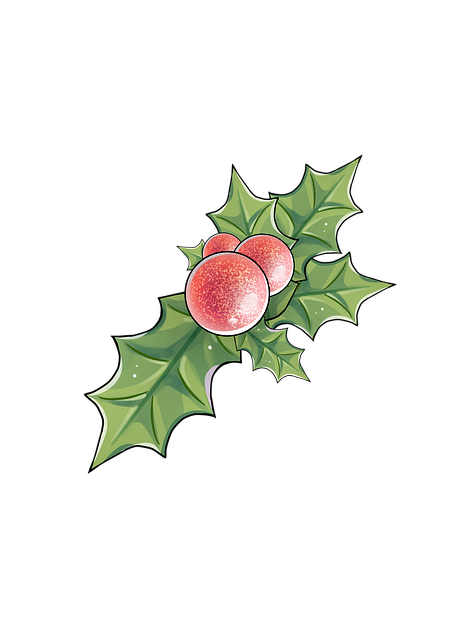 Free Mistletoe Berry illustration and picture