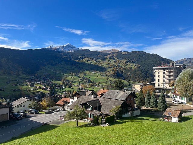Free Houses Buildings photo and picture