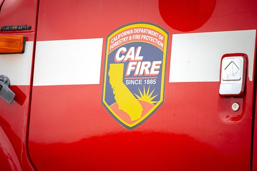 Free Cal Fire Task Force Rattle Snake photo and picture