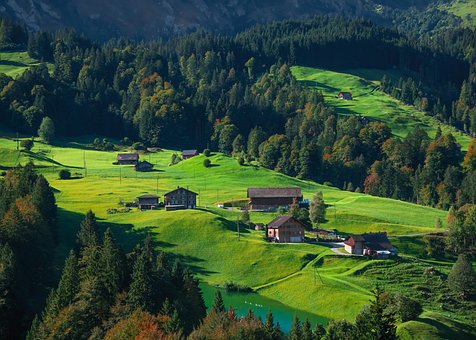 Bergen, Natuur, Landschap, Woud