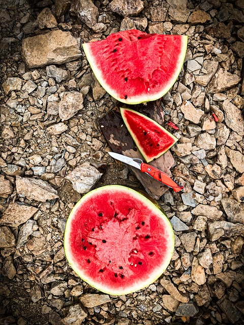 Free Watermelon Fruit photo and picture