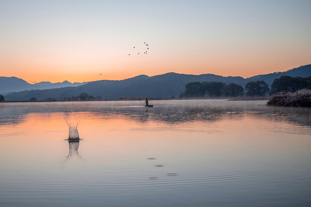 Daggry, Fog, Om, Times, Nyt, Natur