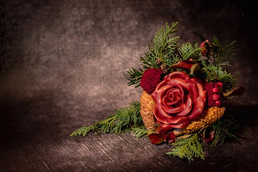 Free Rose Beautiful Flowers photo and picture