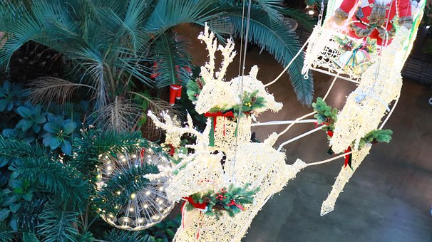Hatte, Baggrund, Paraply