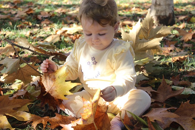 Free Autun Baby photo and picture