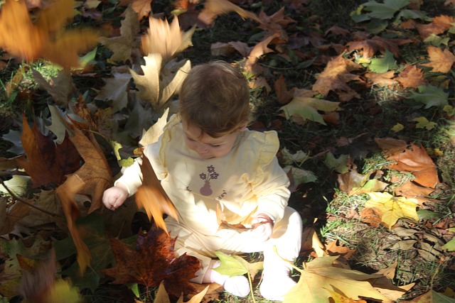 Free Autun Photography photo and picture