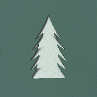Pino, Árbol, Navidad, Árbol De Navidad