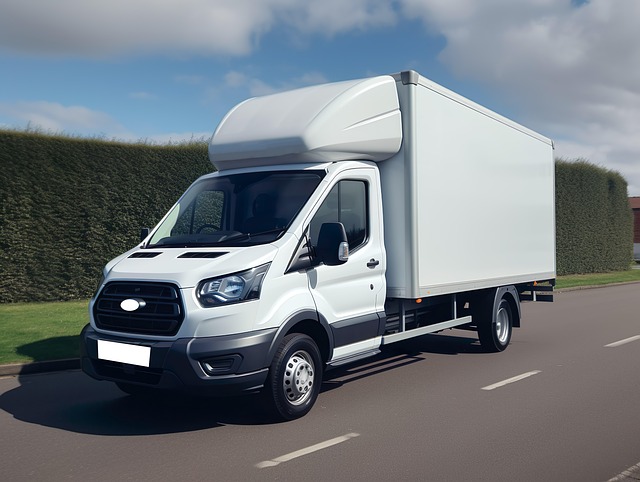Free delivery rent-a-car ford illustration