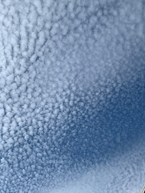 Free Pattern Texture photo and picture