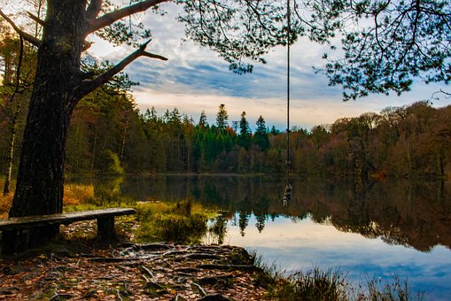 Free Denmark Autum photo and picture