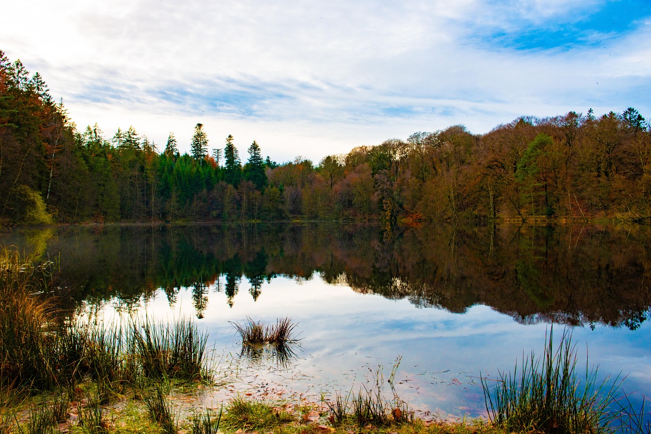 Download free HD stock image of Autumn Lake Free Autumn Lake photo and picture