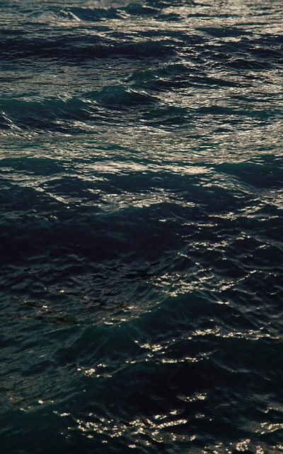 Free Ocean Sea photo and picture
