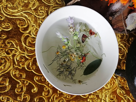Free Infusion Lavander photo and picture