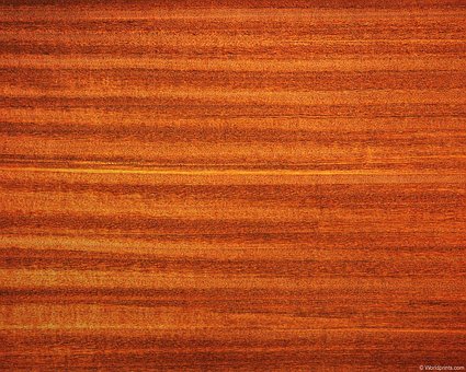 Free Background Texture photo and picture
