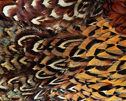 Free Background Texture photo and picture