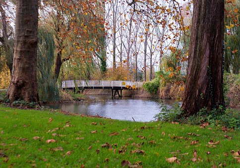 Efterår, Natur, Park, Grøn, Bro, Holland