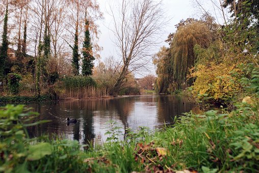 Omkreds, Vand, Schiedam, Natur, Park