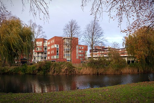 Plejehjem, Bekymring, Senior, Ældre