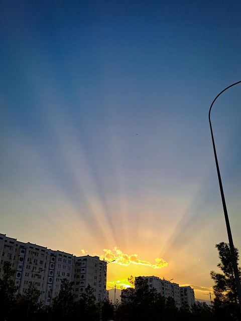 Free Sunset Yellow photo and picture