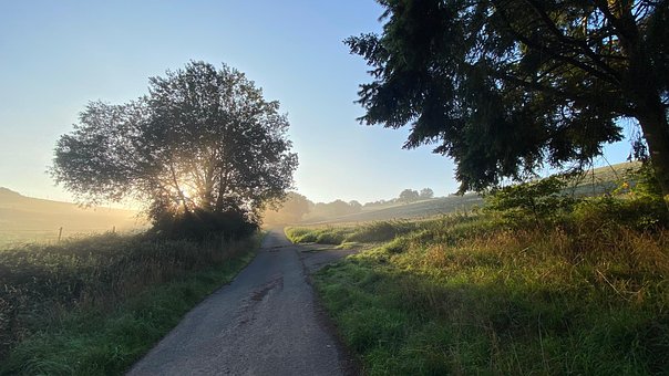 Contraluz, Naturaleza, Sol, La Carretera