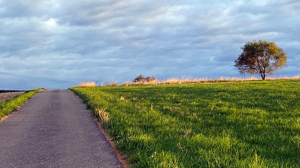 Sendero, Paisaje, Naturaleza, Árboles