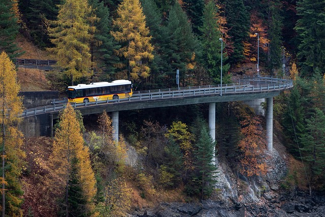 Free Autumn Bus photo and picture