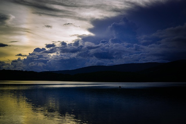 Free Da Lat Forest photo and picture