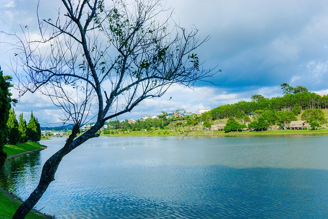 Free Da Lat Lake photo and picture