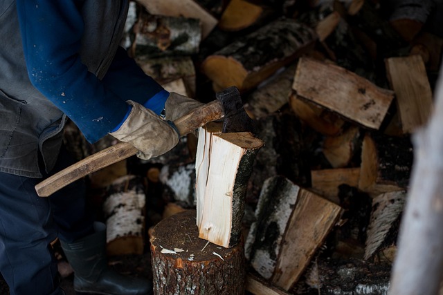 Free Firewood Log photo and picture