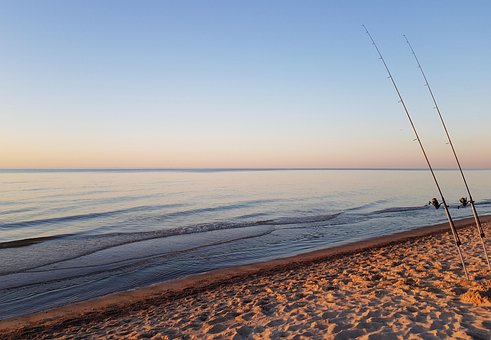 Free Beach Fishing Rods photo and picture