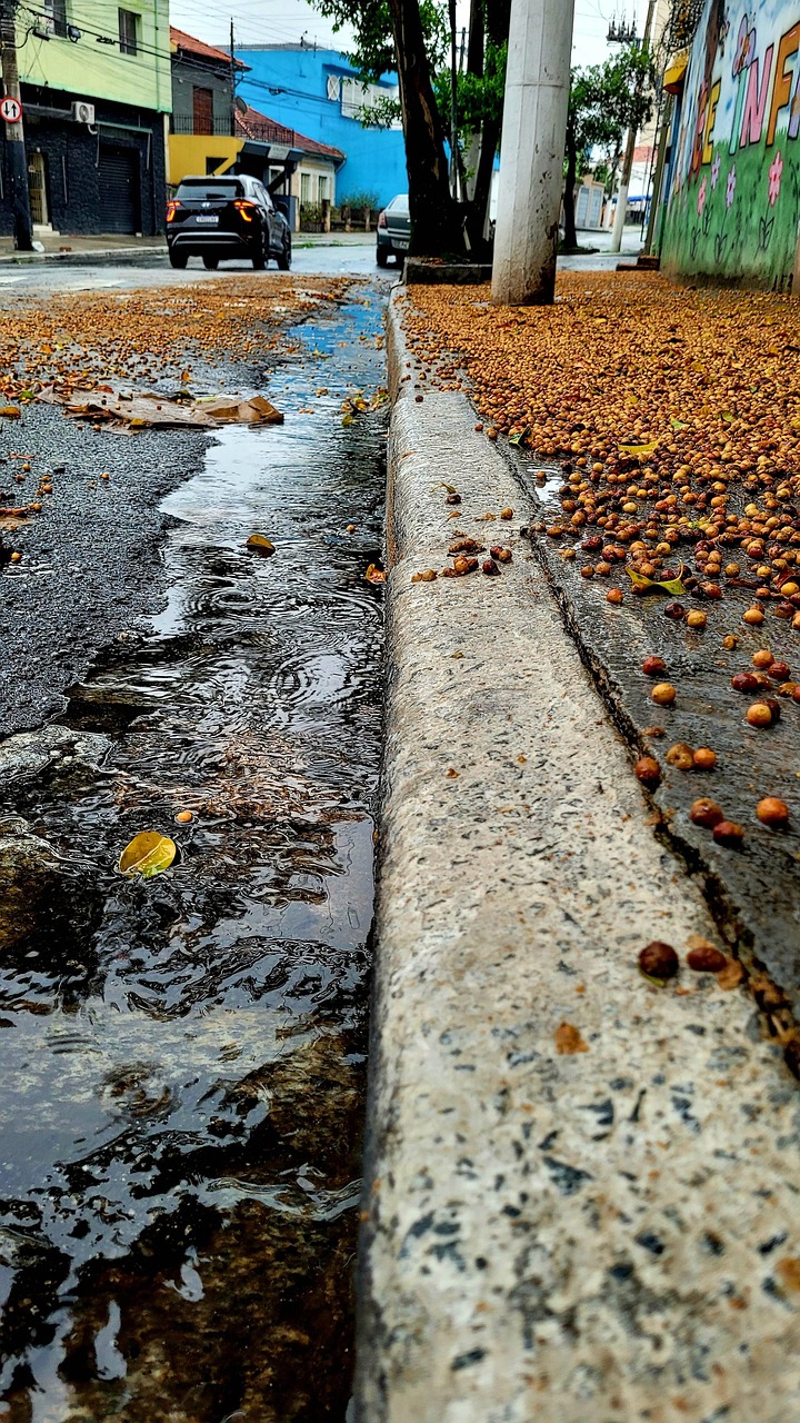 Free Water Nature photo and picture