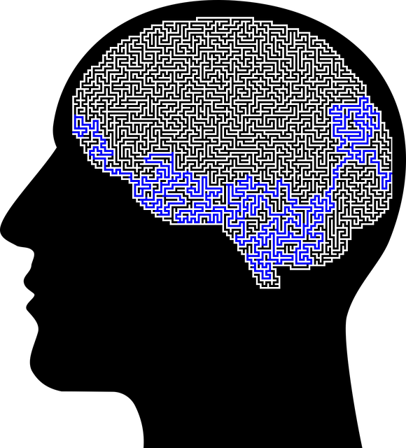 Free man brain maze vector