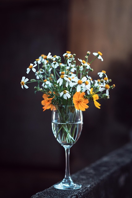 Free Flowers Flower Vase photo and picture