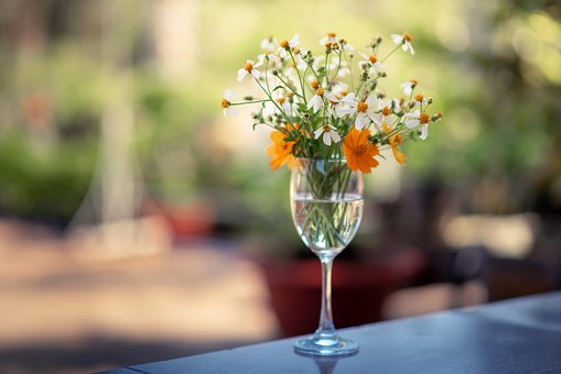 Free Flowers Wallpaper 4K photo and picture