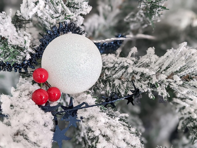 Kerstmis, Boom, Sneeuw, Kerstmis Bal