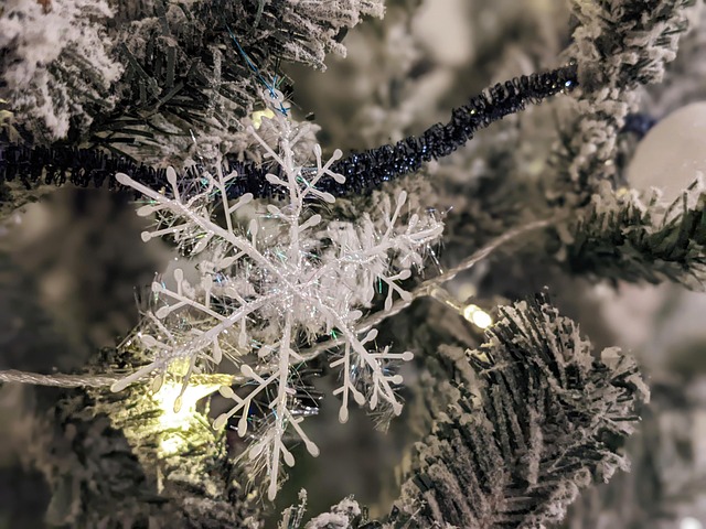 Kerstmis, Boom, Ornament, Sneeuw