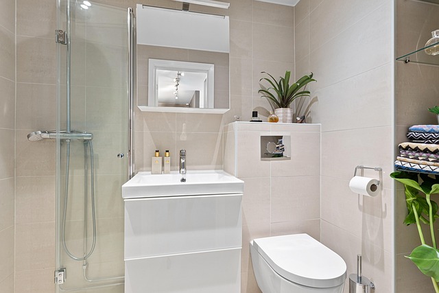 bathroom, real estate, interior, house, luxury, decor, cabinet, view, art, design, home, bathroom, bathroom, bathroom, bathroom, bathroom