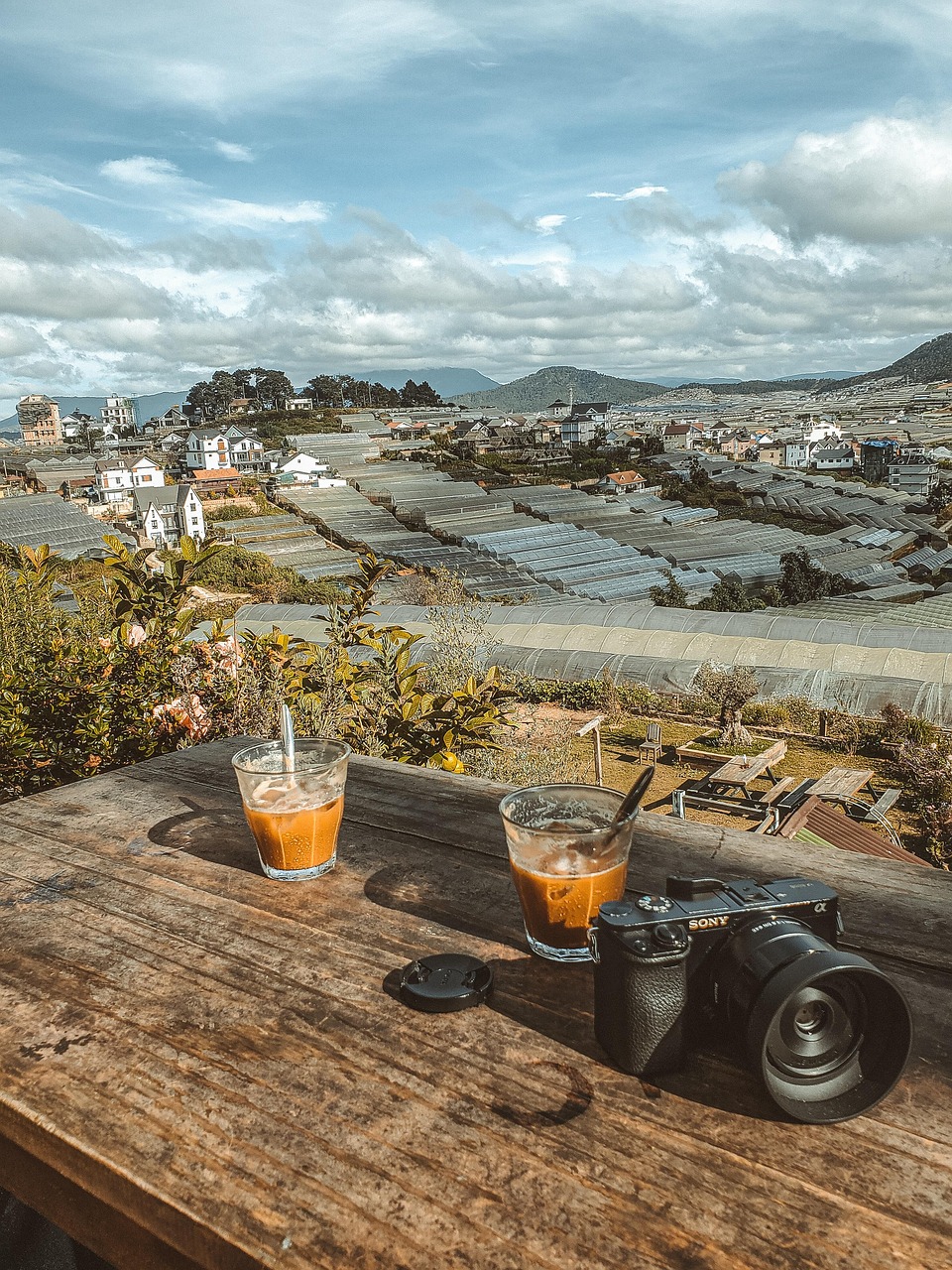 Free Da Lat Forest photo and picture