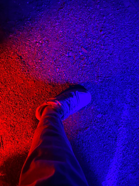 Sko, Mode, Sneakers, Fødder, Blå, Rød