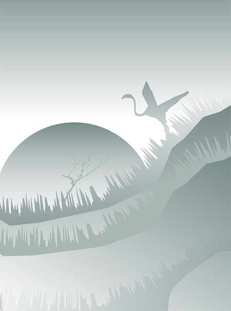 Fugl, Minimalisme, Plakat, Minimalistisk