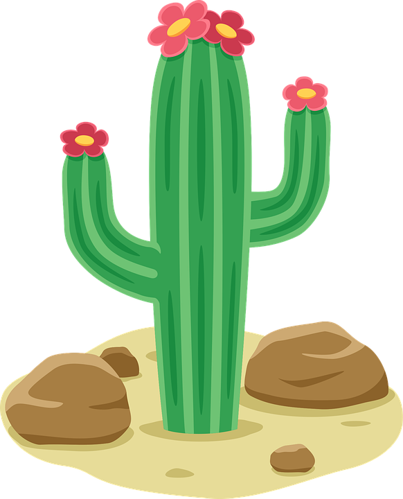 Download Cactus Nature Desert Royalty Free Vector Graphic Pixabay download-cactus-nature-desert-royalty-free-vector-graphic-pixabay